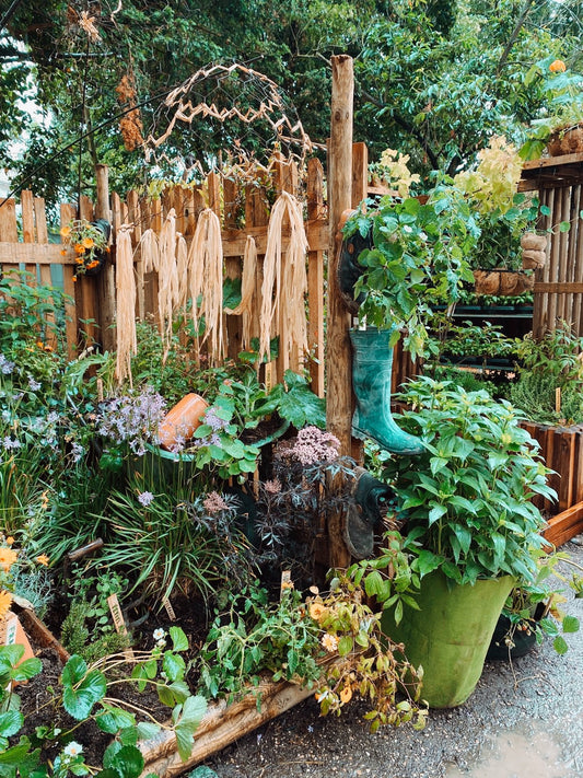 Salon Jardins Jardin