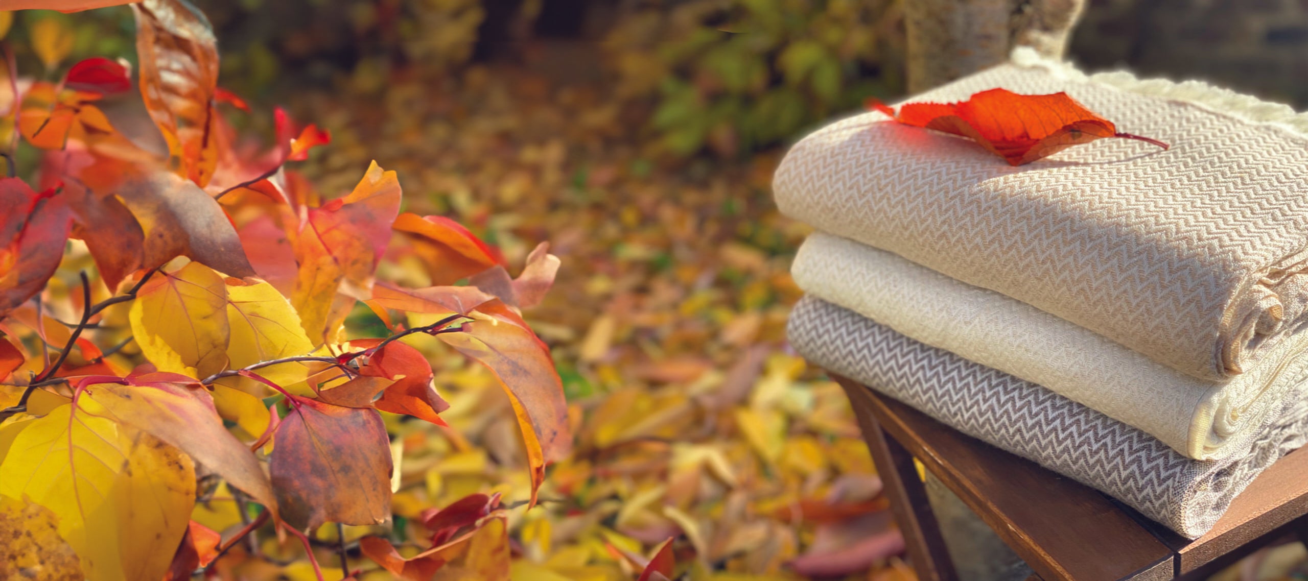 Douceurs d'Automne