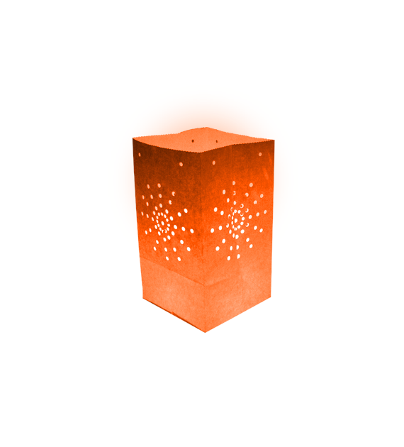Pack de 10 lanternes de jardin Maya couleur orange