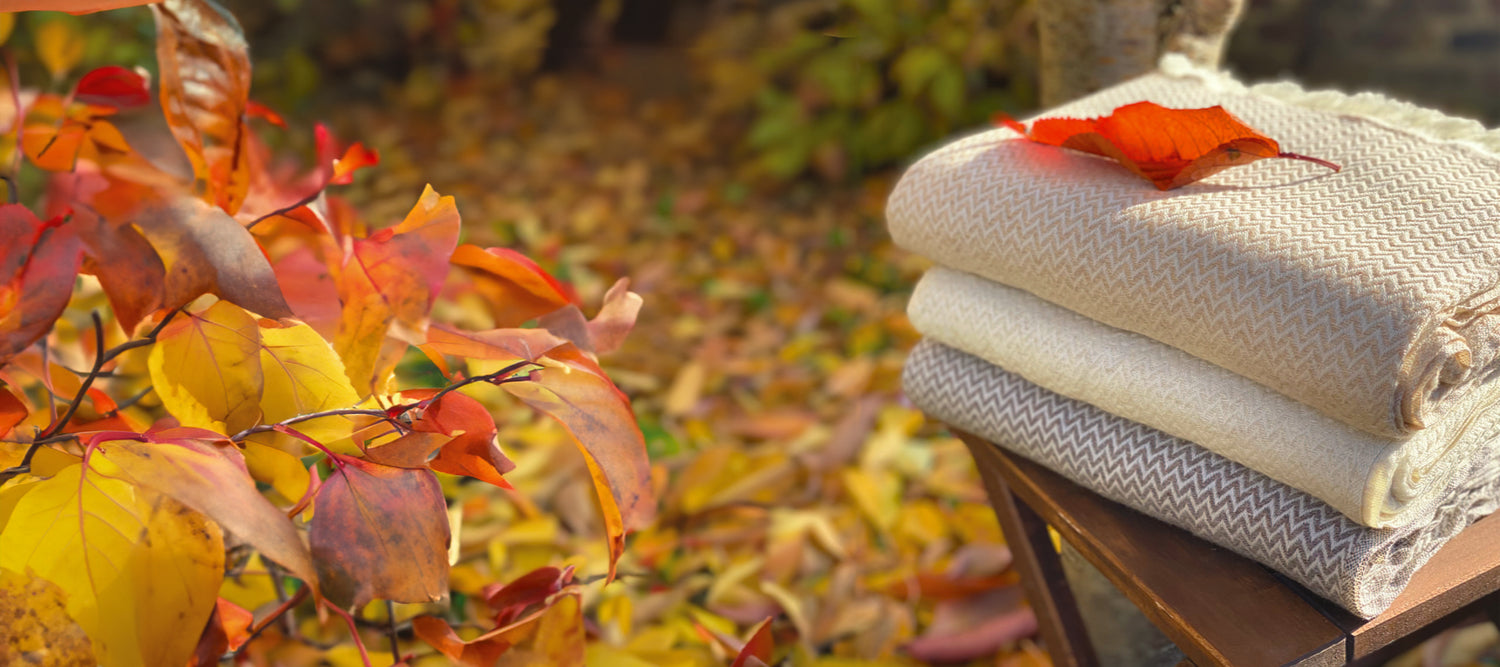 Douceurs d'Automne